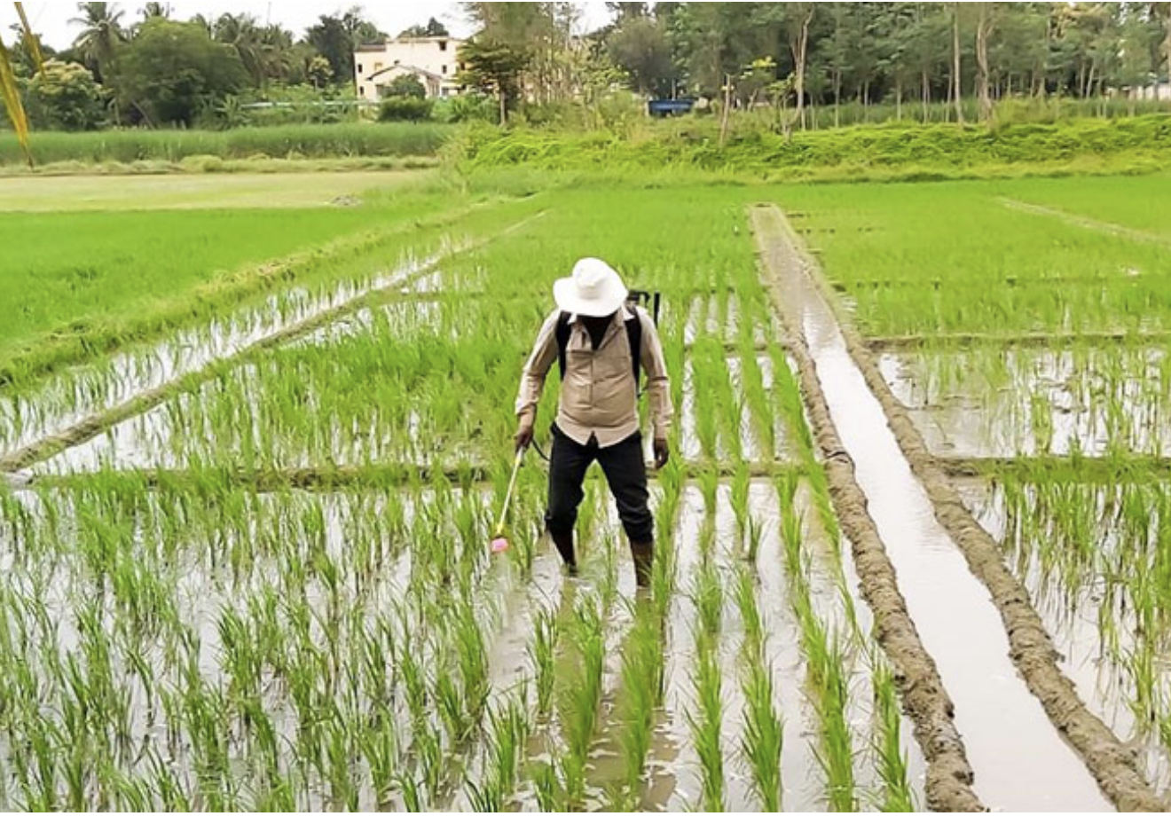 Circularity in action: Transformative technology for a sustainable future  